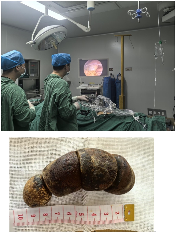 证3.jpg